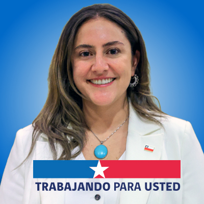 Constanza Castillo Gamboa