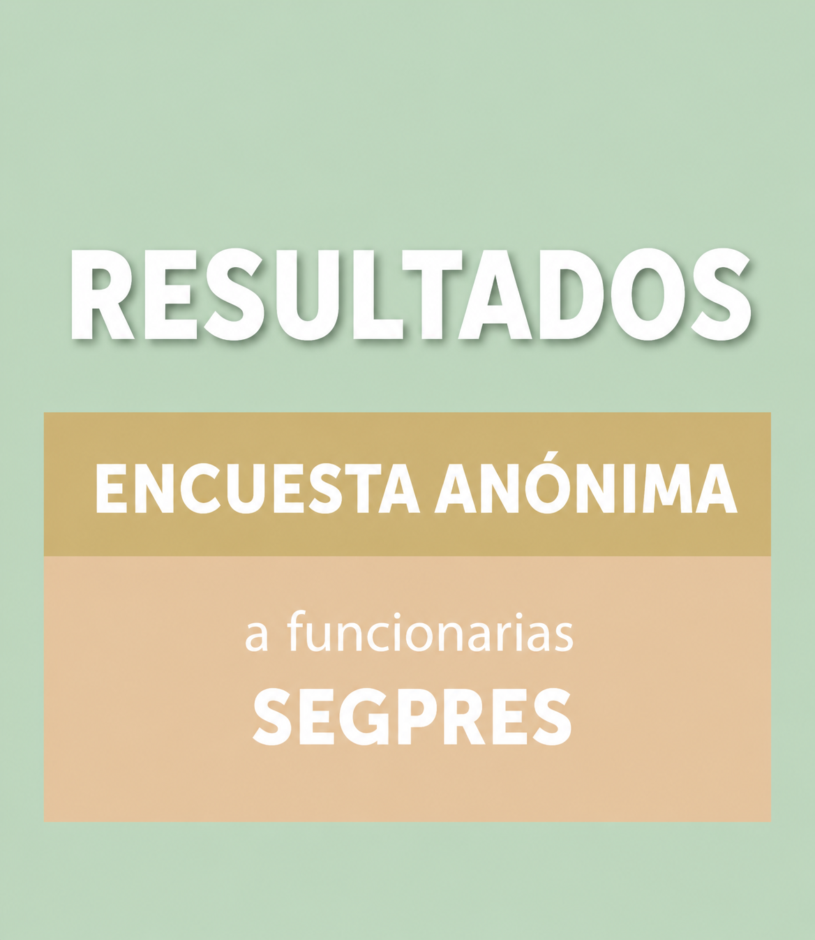Resultados encuesta anónima funcionarias SEGPRES